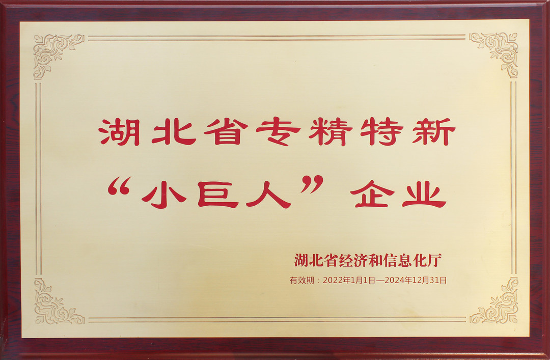 專(zhuān)精特新小巨人